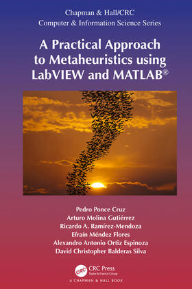 A Practical Approach to Metaheuristics using LabVIEW and MATLAB(R)
