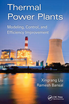 Thermal Power Plants