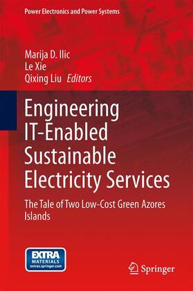 Engineering IT-Enabled Sustainable Electricity Services