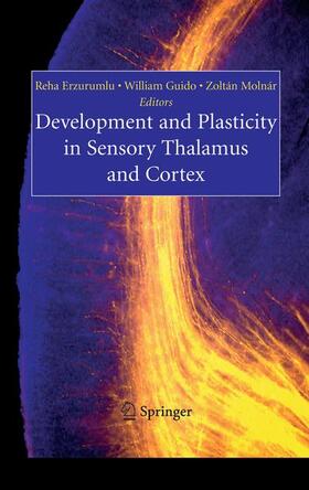 Development and Plasticity in Sensory Thalamus and Cortex