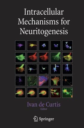 Intracellular Mechanisms for Neuritogenesis