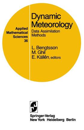 Dynamic Meteorology: Data Assimilation Methods