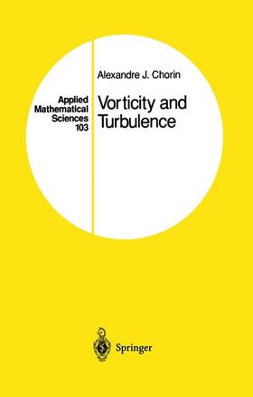 Vorticity and Turbulence