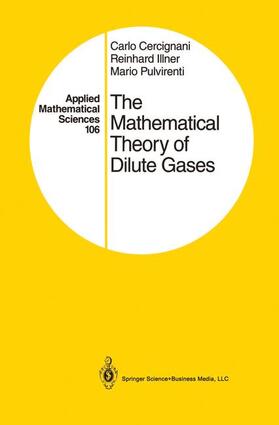 The Mathematical Theory of Dilute Gases