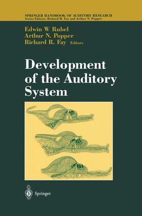 Development of the Auditory System