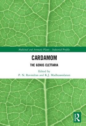 Cardamom