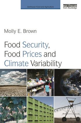 Food Security, Food Prices and Climate Variability