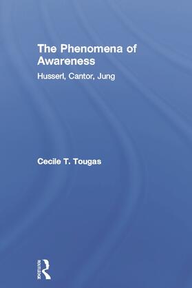 The Phenomena of Awareness