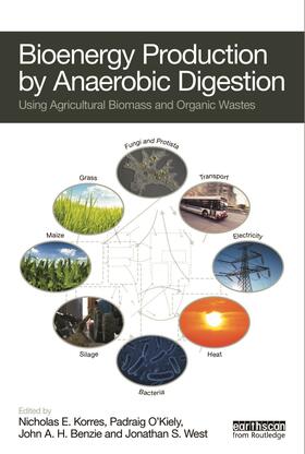 Bioenergy Production by Anaerobic Digestion