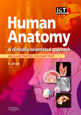 Human Anatomy