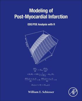 Modeling of Post-Myocardial Infarction