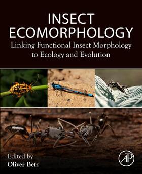 Insect Ecomorphology