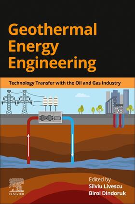 Geothermal Energy Engineering