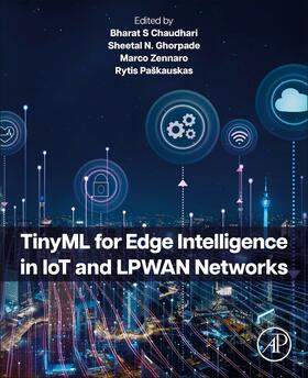 Tinyml for Edge Intelligence in Iot and Lpwan Networks