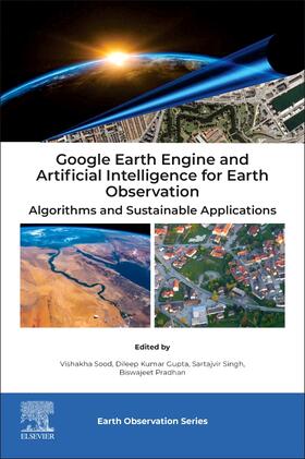 Google Earth Engine and Artificial Intelligence for Earth Observation