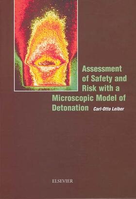 Assessment of Safety and Risk with a Microscopic Model of Detonation