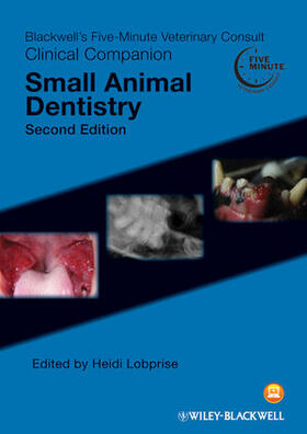 5MVC CC Small Animal Dentistry