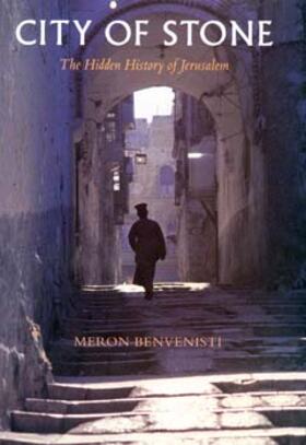 City of Stone - The Hidden History of Jerusalem (Paper)