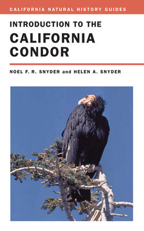 Introduction to the California Condor, 81