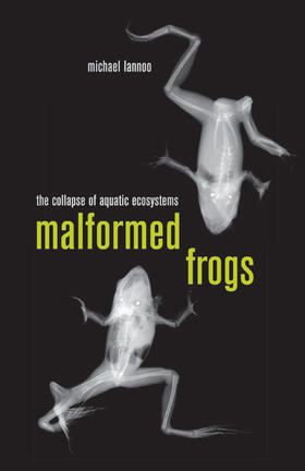 Malformed Frogs - The Collapse of Aquatic Ecosystems