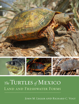 Turtles of Mexico