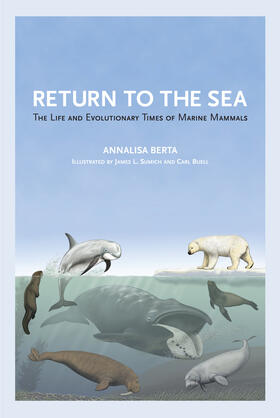 Return to the Sea: The Life and Evolutionary Times of Marine Mammals