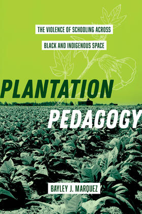 Plantation Pedagogy