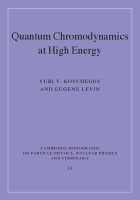 Quantum Chromodynamics at High Energy