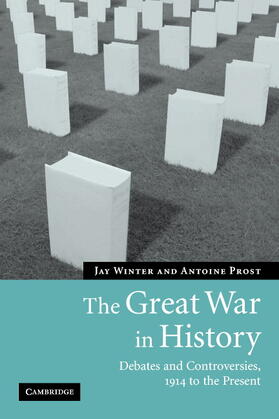 The Great War in History: Debates and Controversies, 1914 to the Present