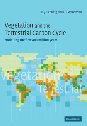 Vegetation Terrestrial Carbon Cycle