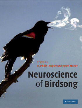 Neuroscience of Birdsong