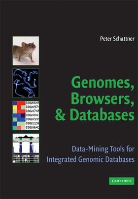 Genomes, Browsers and Databases