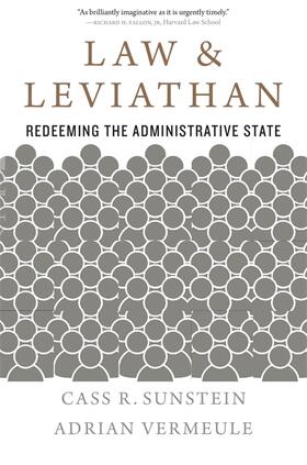 Law and Leviathan