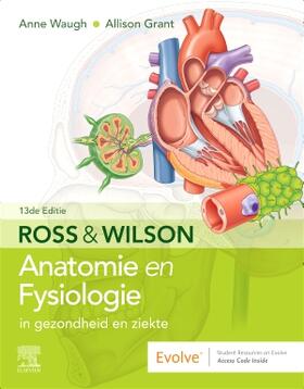 DUT-ROSS EN WILSON ANATOMIE EN