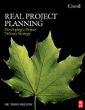 Real Project Planning: Developing a Project Delivery Strateg