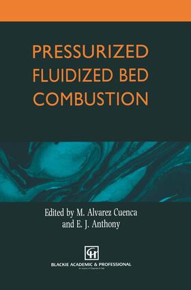 Pressurized Fluidized Bed Combustion