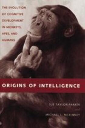 Origins of Intelligence