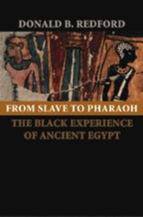 From Slave to Pharaoh