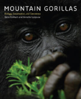 Mountain Gorillas