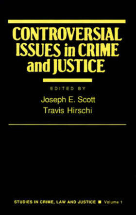 Controversial Issues in Crime and Justice