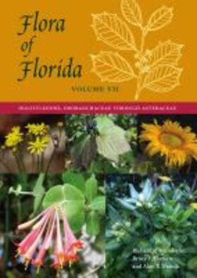 Flora of Florida, Volume VII: Dicotyledons, Orobanchaceae Through Asteraceae