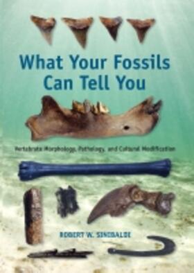 What Your Fossils Can Tell You