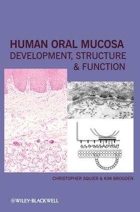 Human Oral Mucosa