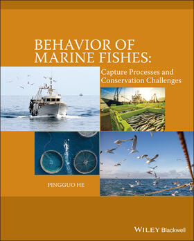 Behavior of Marine Fishes