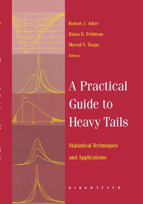 A Practical Guide to Heavy Tails