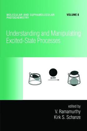 Understanding and Manipulating Excited-State Processes