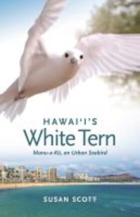 Hawai'i's White Tern