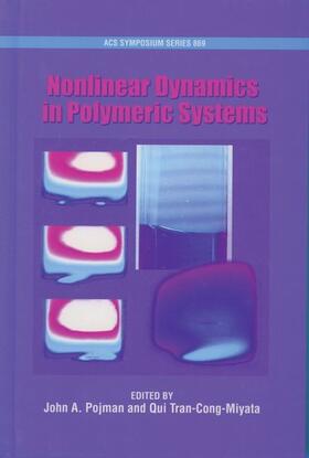 NONLINEAR DYNAMICS IN POLYMERI