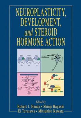 Neuroplasticity, Development, and Steroid Hormone Action