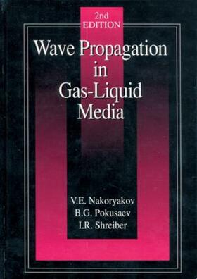 Wave Propagation in Gas-Liquid Media